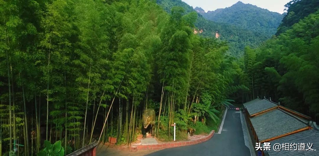 赤水大瀑布 侏罗纪公园 (贵州赤水侏罗纪公园攻略)