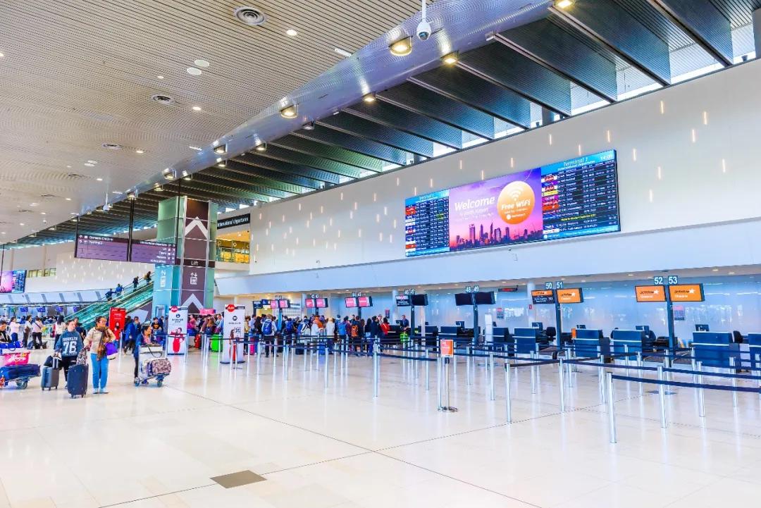 新冠疫情澳洲卫生纸,疫情下的澳洲卫生纸