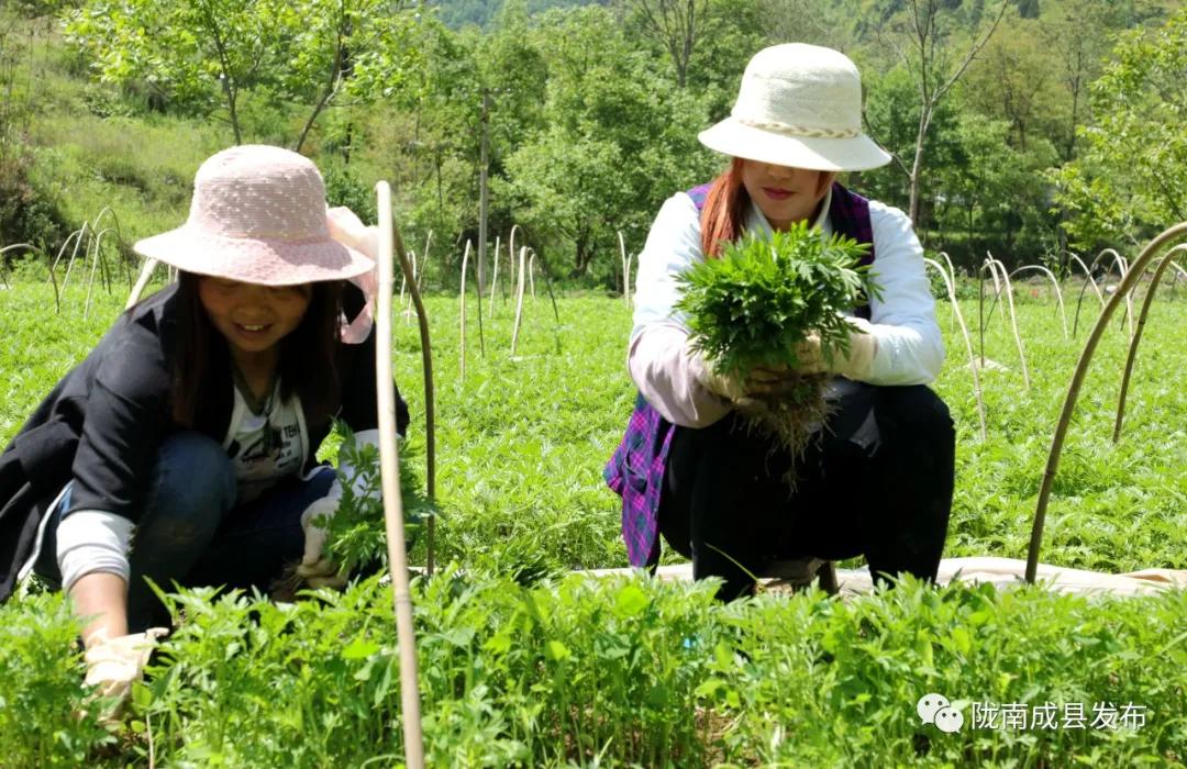 红川镇:在田间地头检验学习成效