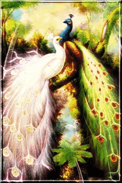 好久没见面了老同学想你了,老同学是我一生的牵挂