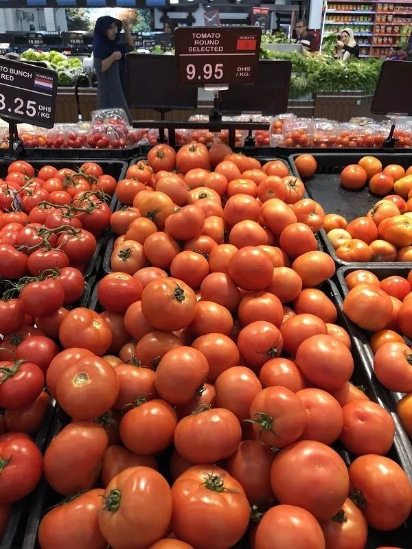 迪拜生活真实工资,在迪拜怎么降低生活成本