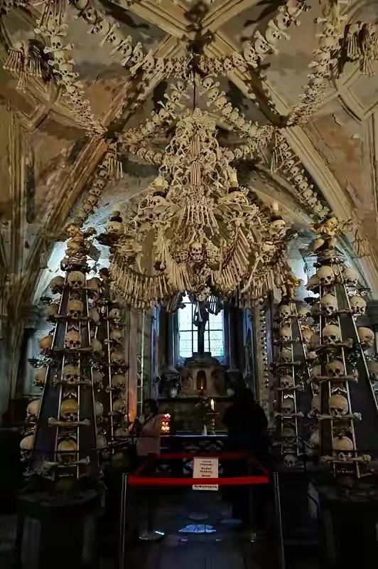 中世纪黑死病爆发时间,14世纪欧洲黑死病的根源