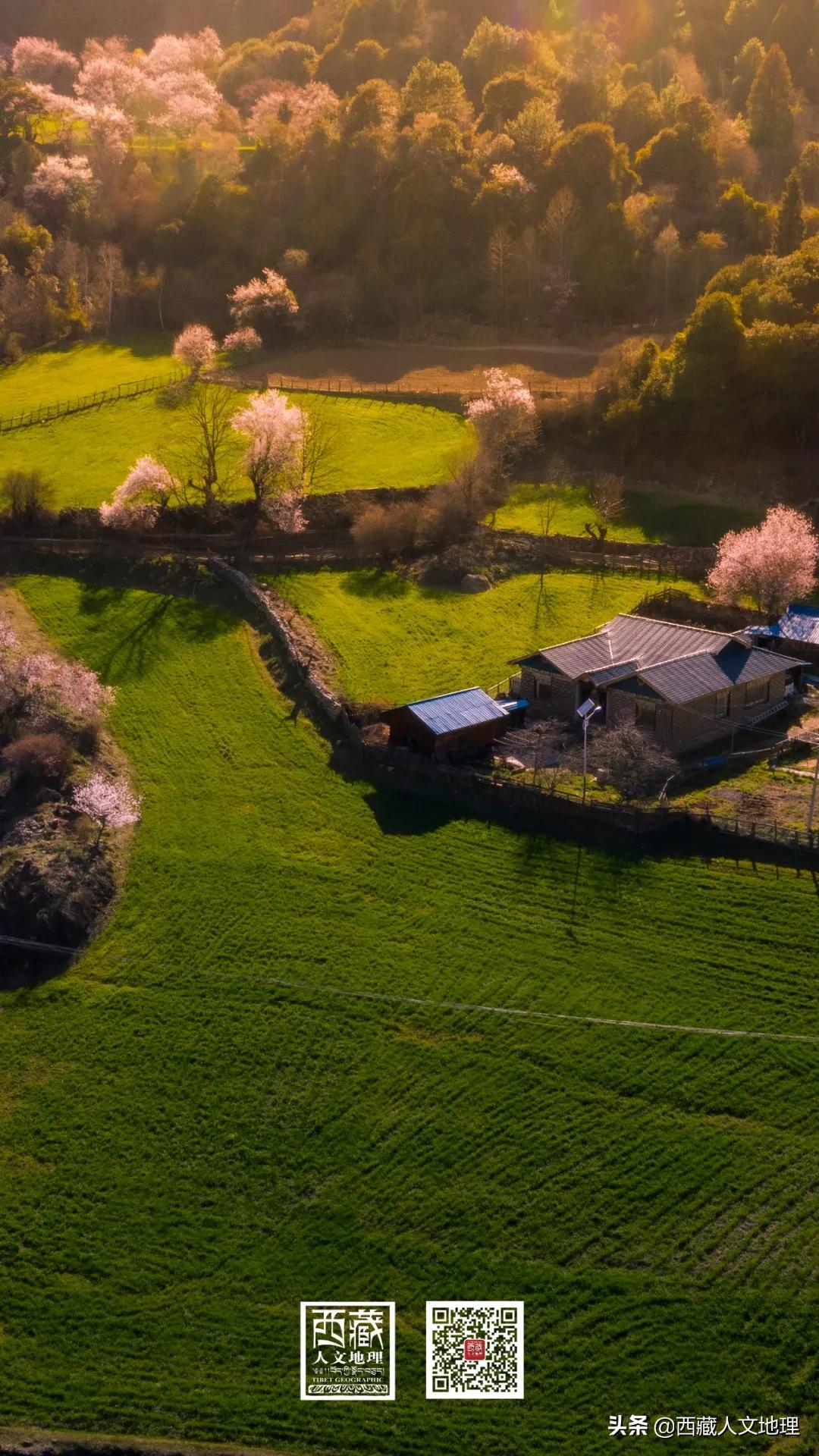 又仙气又美丽的壁纸,适合春日的绝美壁纸