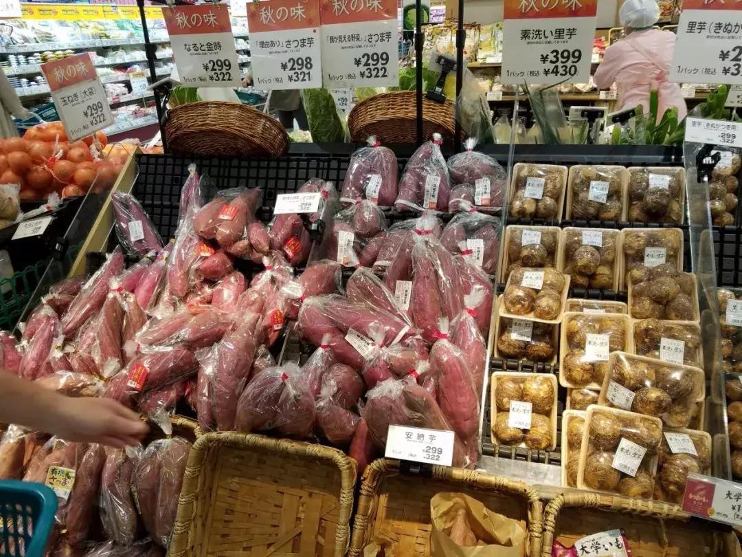 日本精致的日常生活 (日本的精致日常生活)