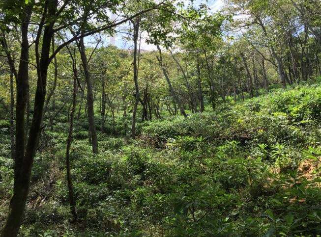 非法吸收公众存款罪辩护要点,律师讲解非法吸收公众存款