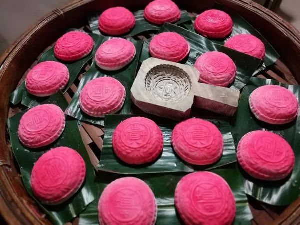 爱你没商量直播吗,爱你没商量海南