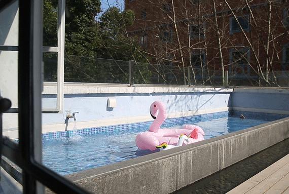 秋日魔都,秋日的上海街头