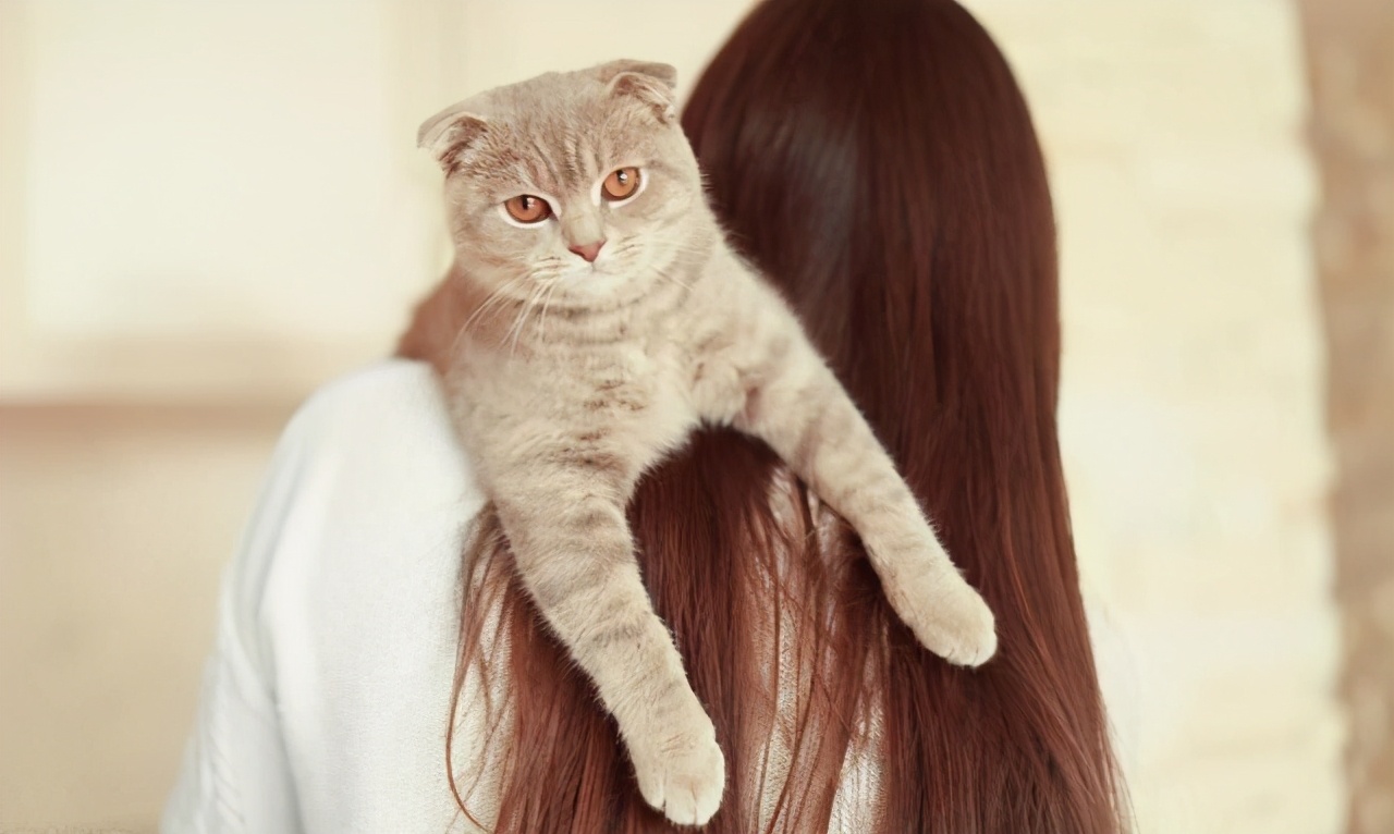 你真的会抱猫吗？5种常见的抱猫姿势，但3种都是错的