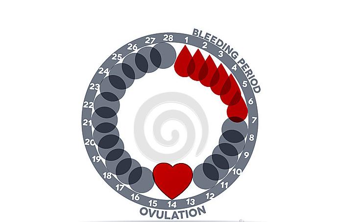 怀孕多久就测得出来,怀孕多久才可以检测出有胎心