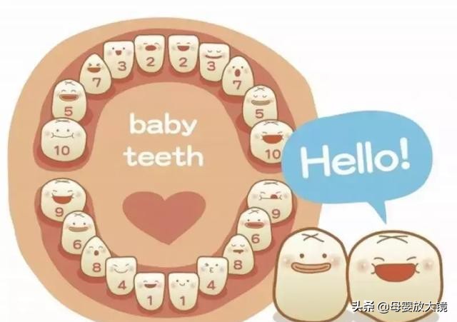 6月龄宝宝健康指导,六月龄宝宝生长发育最新标准