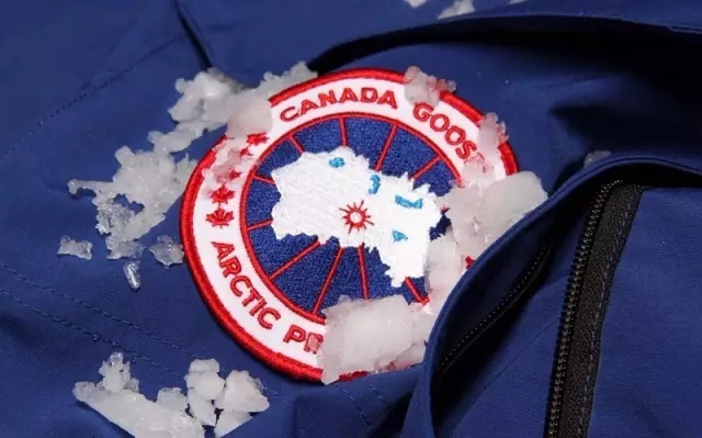 加拿大鹅用的是鸭绒还是鸭毛,加拿大鹅vs波司登羽绒服