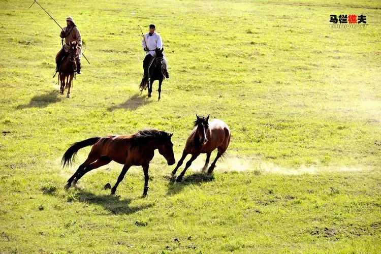 布里亚特牧民骑马摄影作品,草原蒙古族服饰摄影