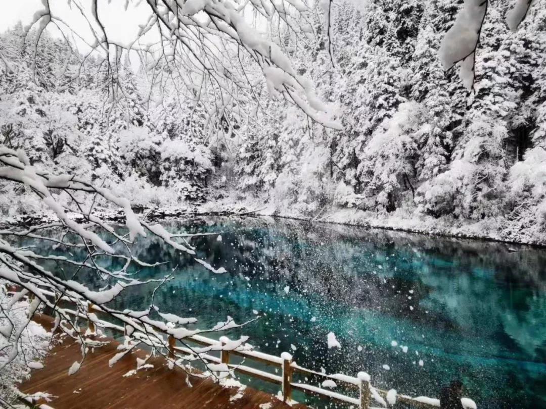 九寨沟门票预约攻略最新版,散客九寨沟景区怎么玩