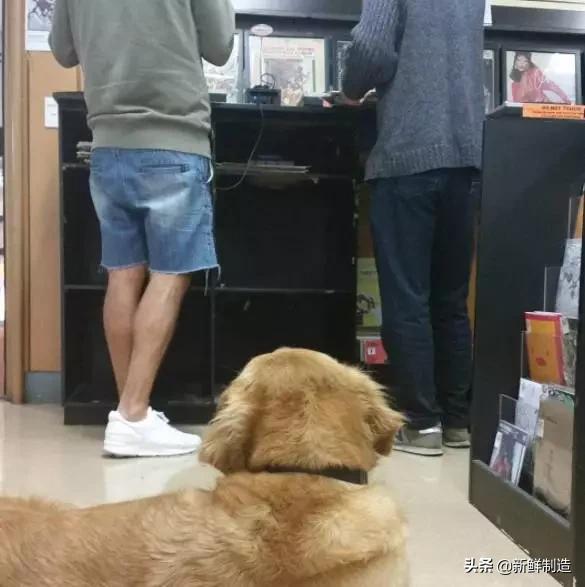 如何买黑胶唱片,怎样买黑胶唱片