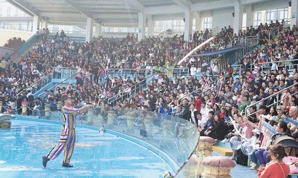 青岛极地海洋世界游玩趣事三年级,青岛极地海洋世界隐藏消费