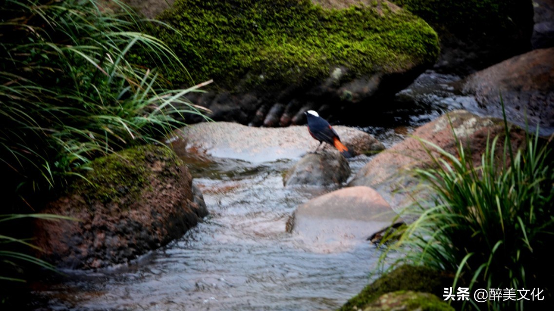 四川泸州叙永县a级景区,泸州市叙永县十大著名旅游景点