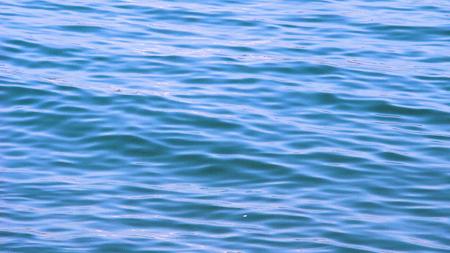 深圳绝美小岛景点介绍,深圳有哪些绝美的海景