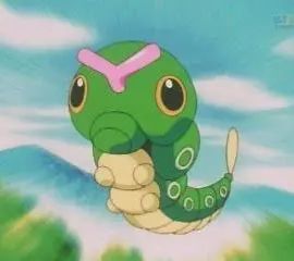 315曝光打假视频是真的吗,315曝光的动物