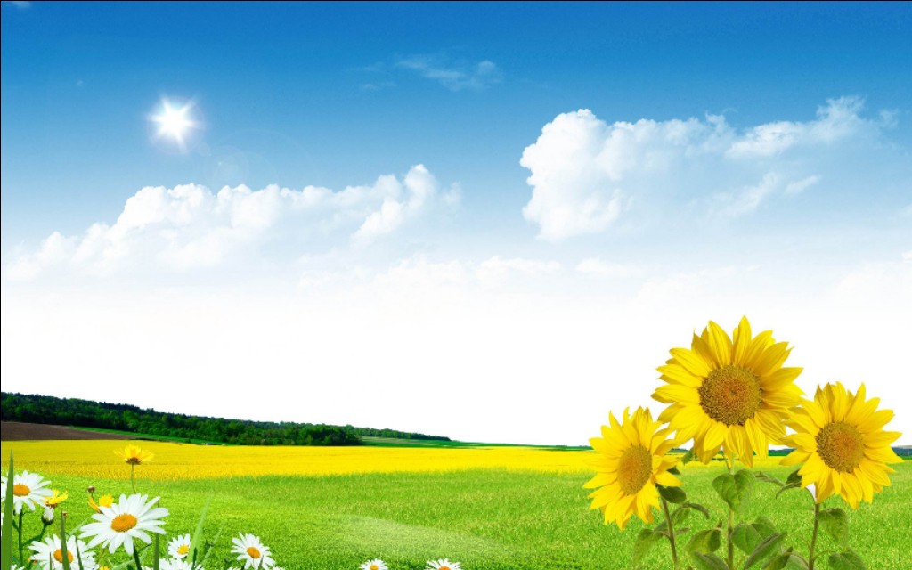 杜甫的五言律诗十首好背,杜甫最有名的十首诗春晓