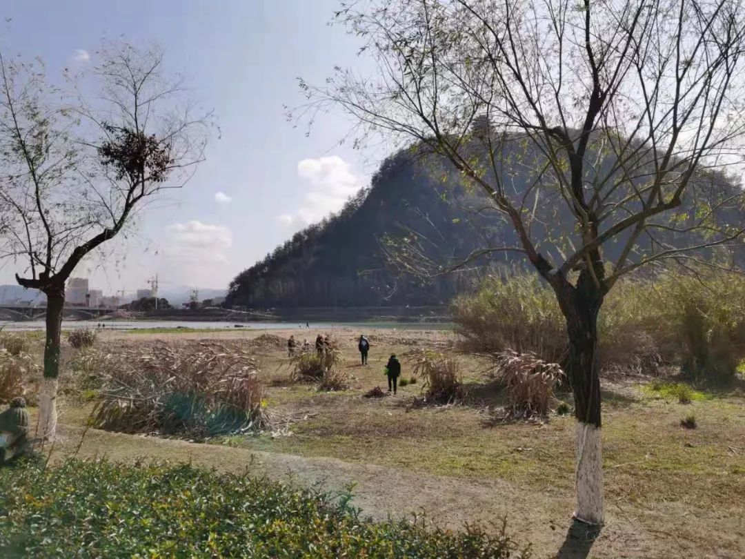 疫情下的县城夜晚照片真实,疫情时期农村的真实生活