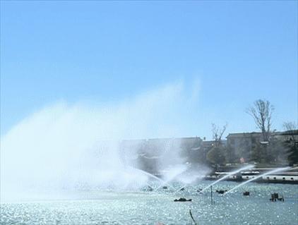 太热闹!弥勒花海、人海、车海、舞海...这些人上镜了!