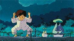 家里阳台的花,家里阳台上的绿植