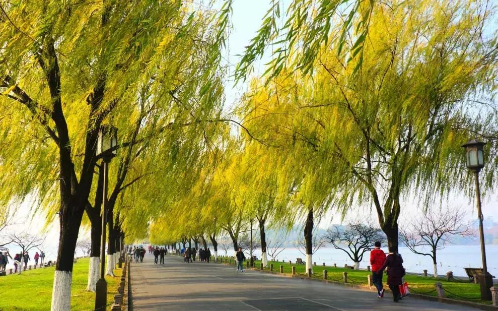 杭州攻略7大必去景点,杭州旅游攻略建议去和不建议去