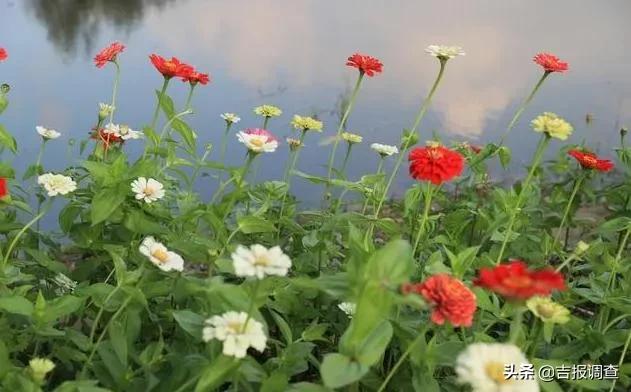 长春风景美的地方,长春最美的十大景点