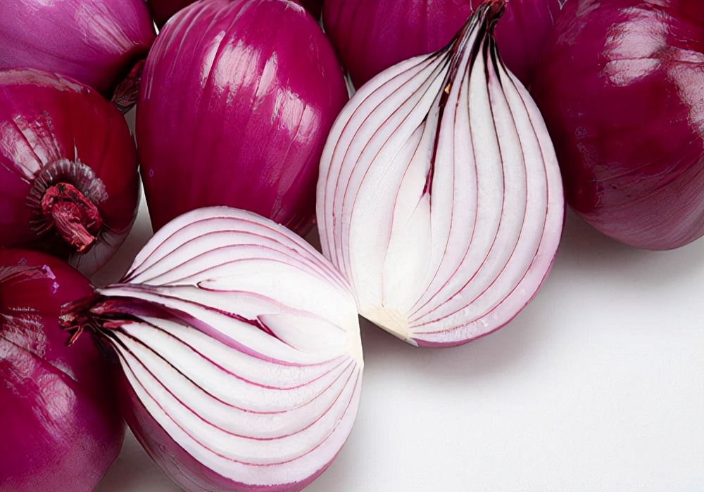 养狗知识狗狗脚趾炎的处理方法,狗狗受凉呕吐怎么办最快最有效