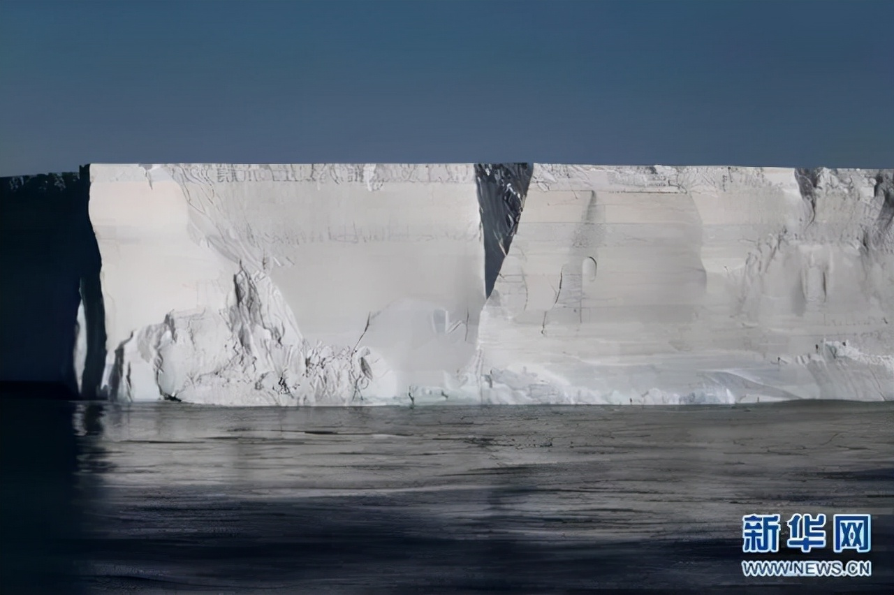 鱼能在南极生存吗,为什么在南极的鱼不怕冷