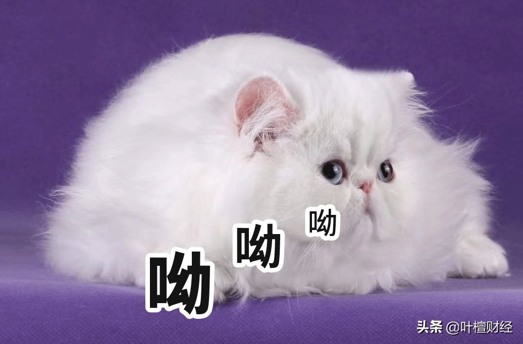 檀檀楼市最新消息,檀府印象房价未来趋势