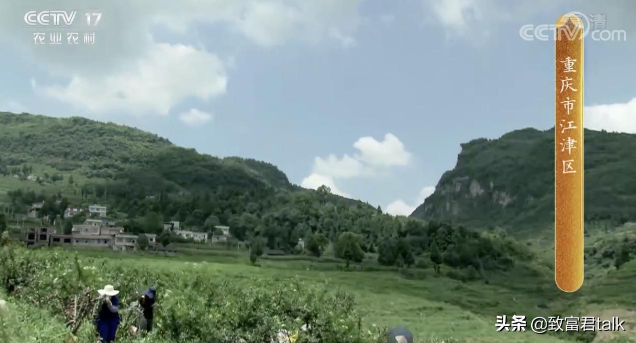 赚麻了：废蒸汽都能拿来赚钱