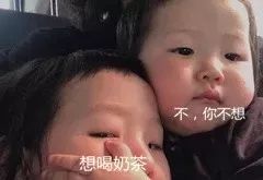 被奶茶毁掉的一代,被奶茶毁掉的中国女孩完整版