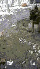 一周gif动图,一周gif图