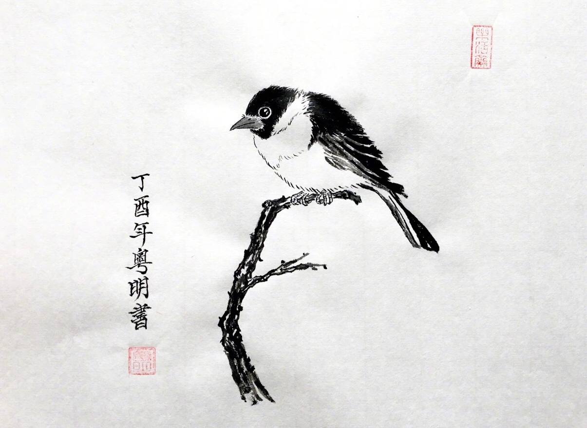 董洁潘粤明最新近况,董洁与潘粤明现状