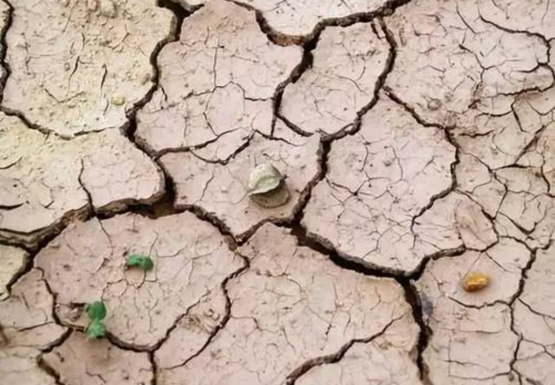 嘴唇干燥综合症怎么治,干燥综合征容易出现哪些口腔症状