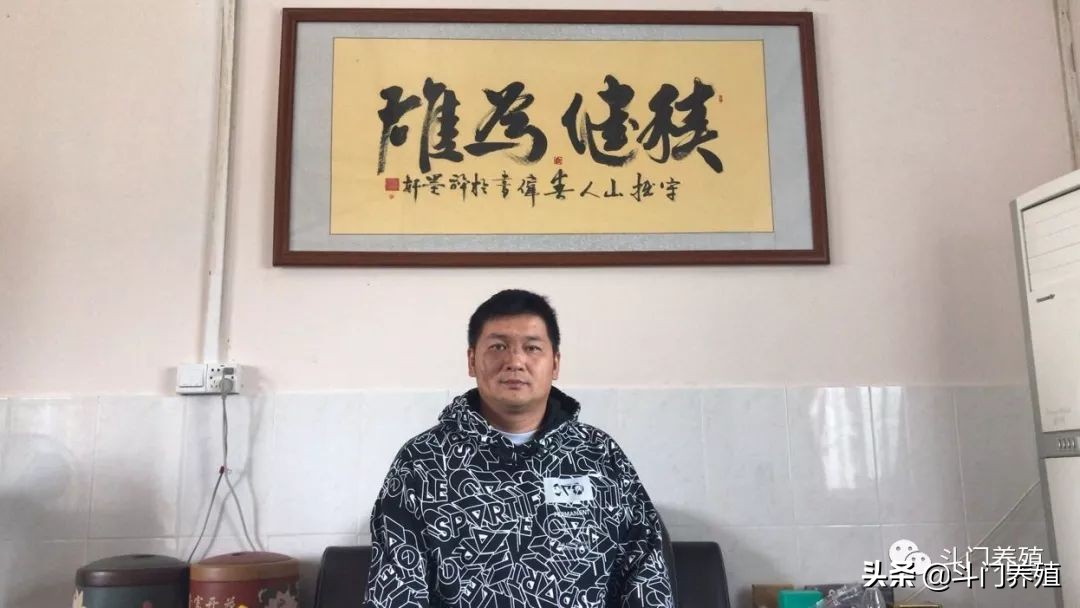 中国最大的黄鳍鲷,卖鱼发家史