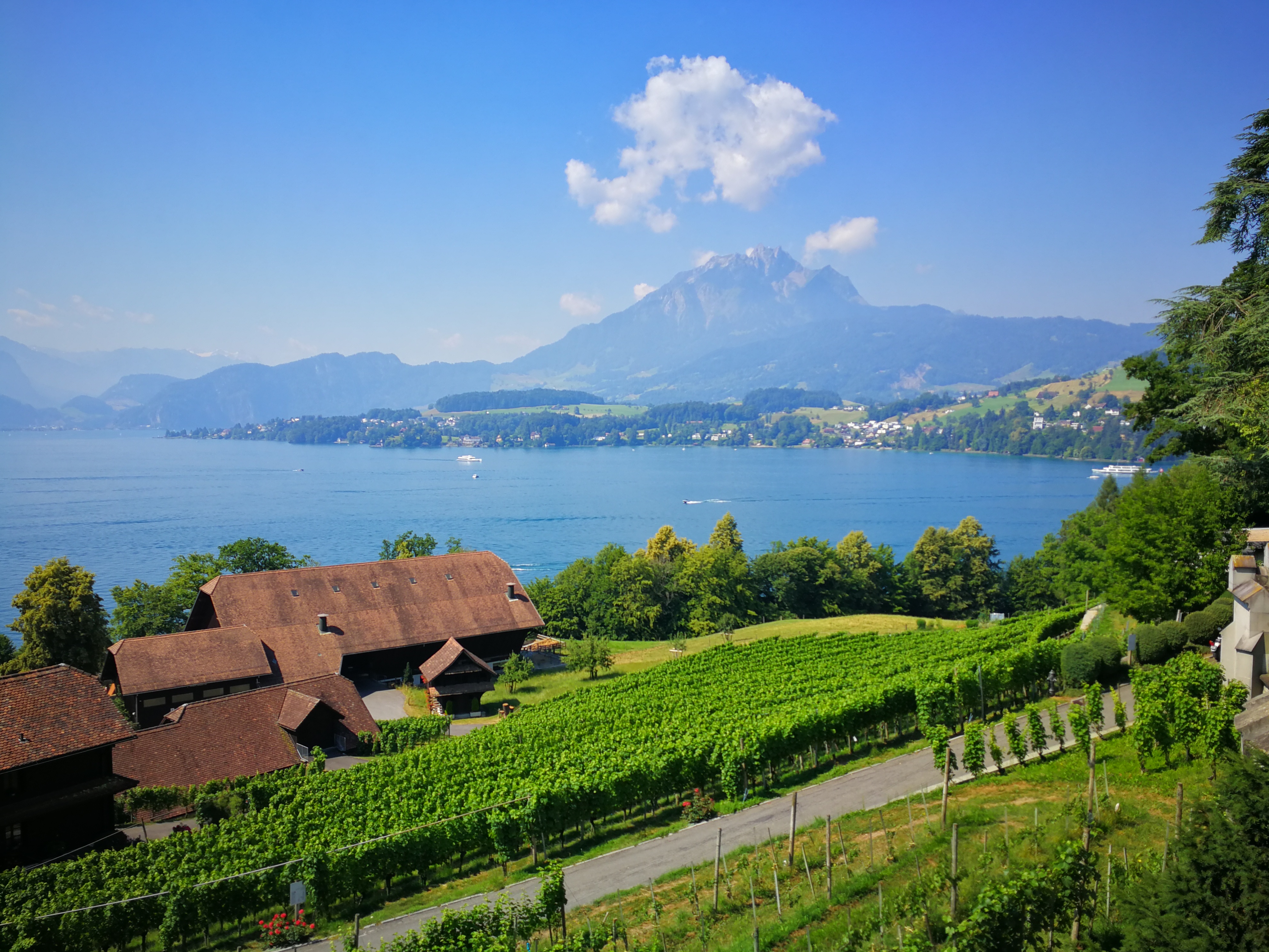 什么是德国式，跟我一起来做一套题，看看自己是否很有德国范？