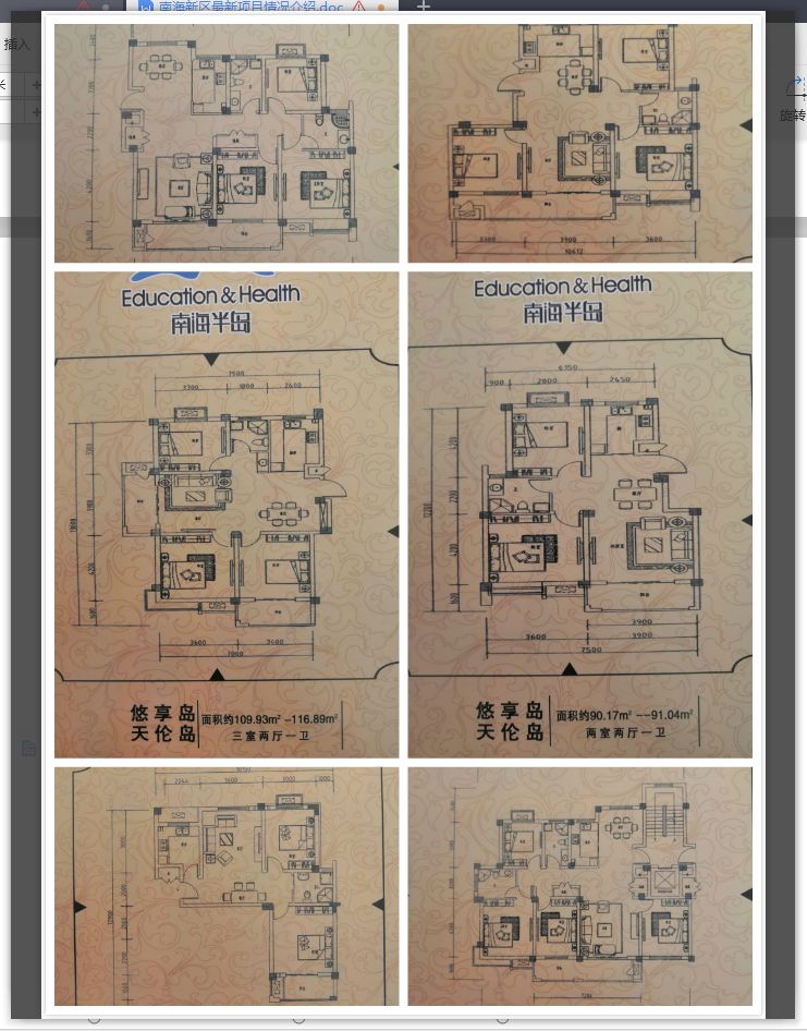 南海新区具有什么特点,南海新区详细介绍