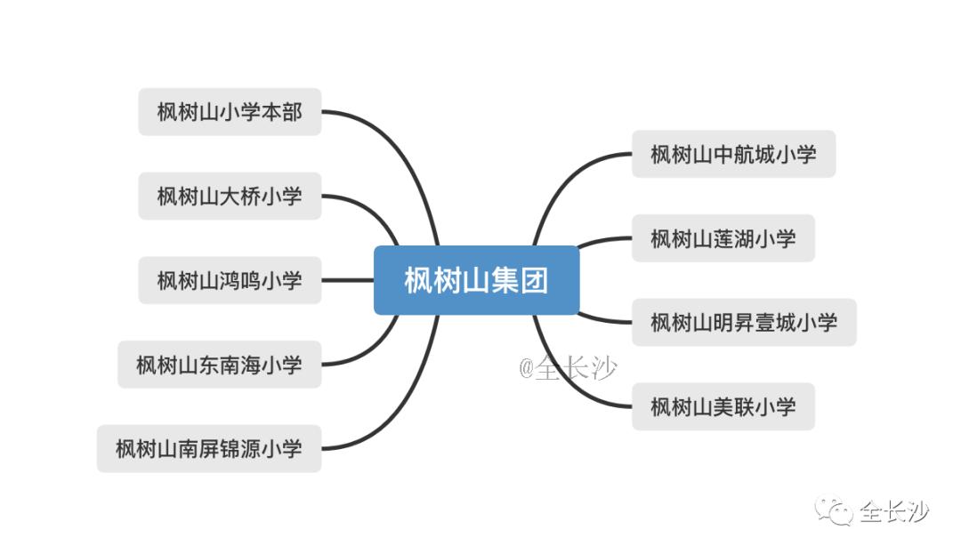 长沙市枫树山集团,湖南长沙实力最强的企业有哪些