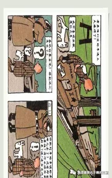 丁丁和丁丁历险记论文,丁丁历险记丁丁的服装