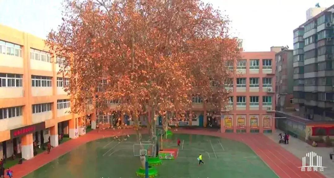 郑州各区重点小学热门小学排行榜,郑州教育资源在全国排名