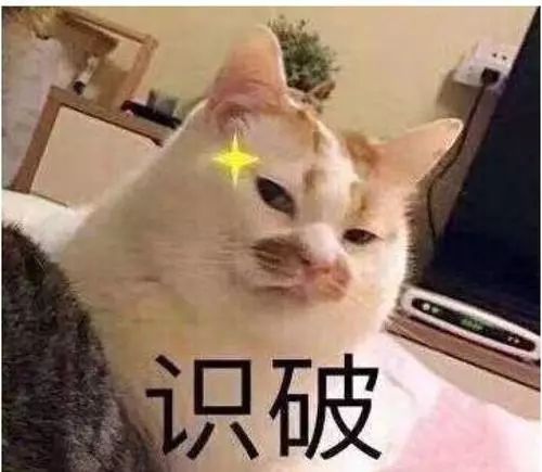 监控记录小偷入室盗窃全过程,盗贼抓贼神操作