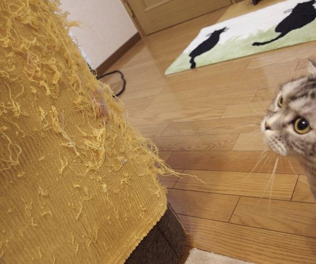 冬天真皮沙发太凉怎么办,冬天沙发冰凉怎么办