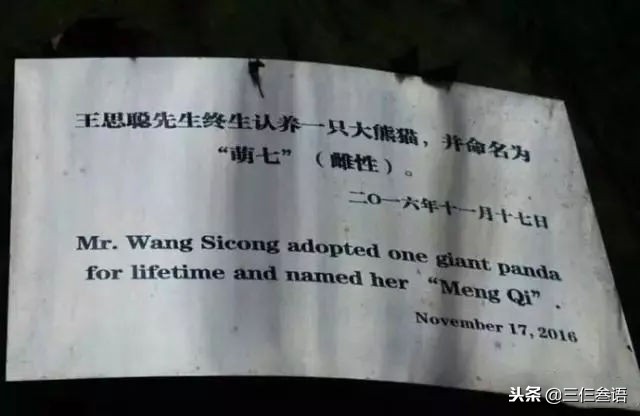 章若楠和王思聪在一起过吗,王思聪上热搜章若楠