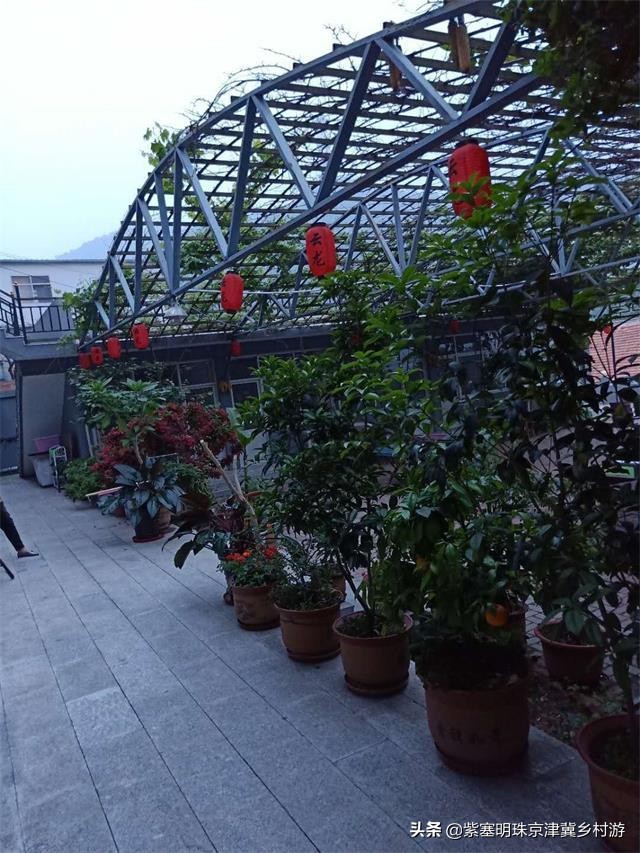 蓟县盘山三兄弟农家院,蓟县云龙农家院