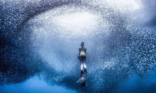 疫情期,聪明人在做什么?在宿务买别墅拿长签,养老、教育全搞定!