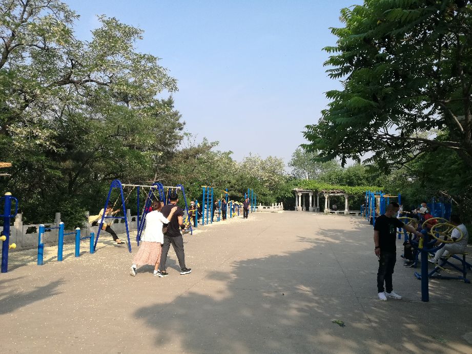 漫山花如雪，风吹暗香来