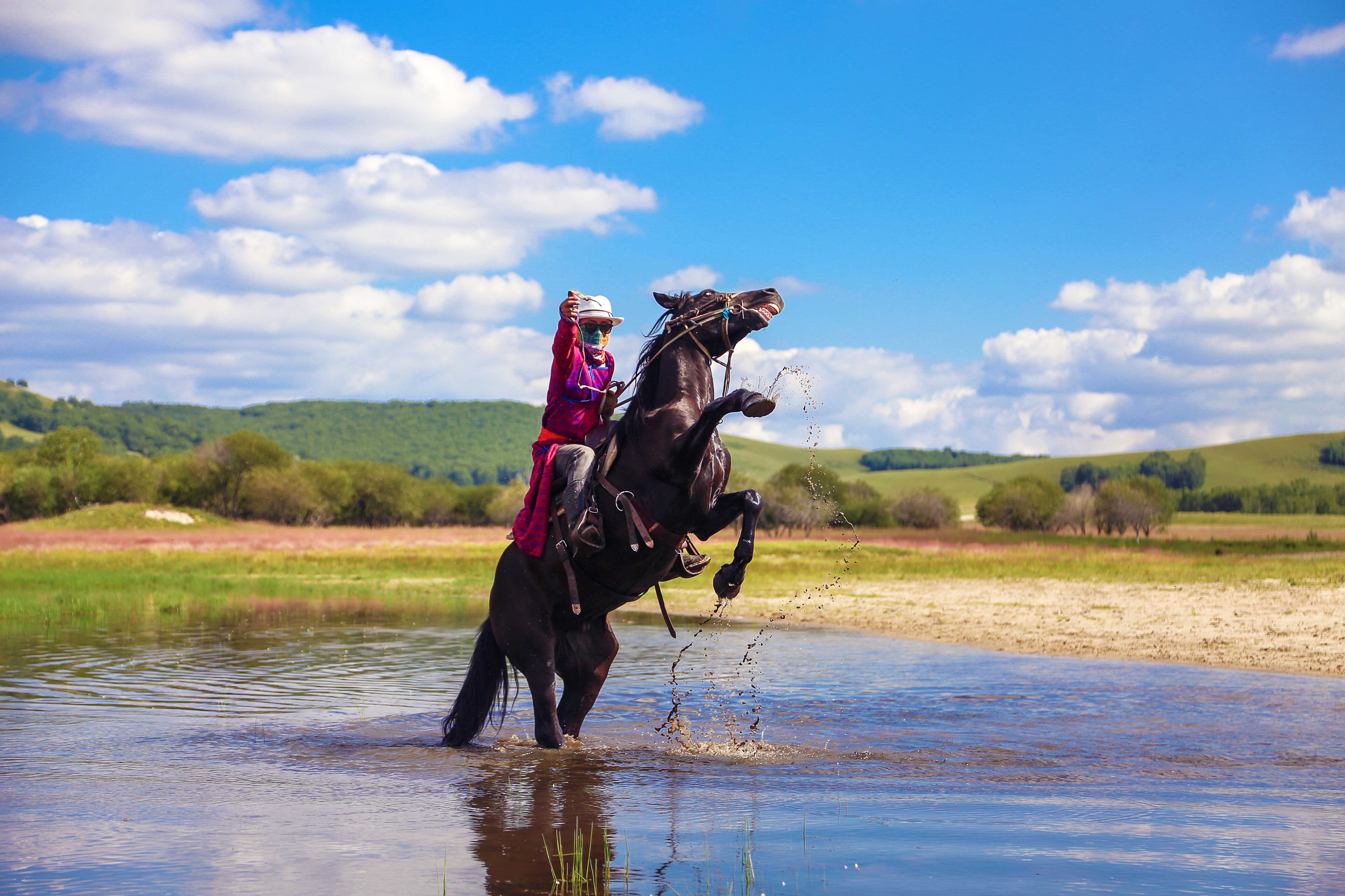 马背之旅旅游攻略,马背之旅旅游视频