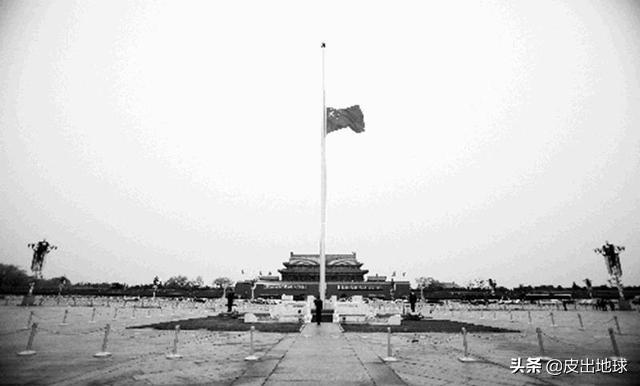 日本大熊猫降半旗,大熊猫为什么降半旗